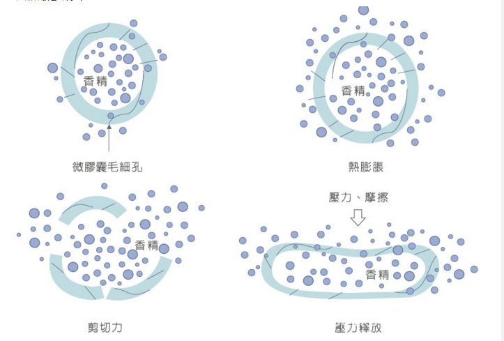 描述